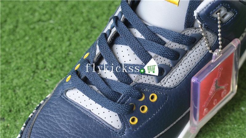 Authentic Air Jordan 3 Retro MICHIGAN PE